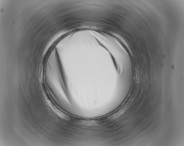 X0000086091131200704202209