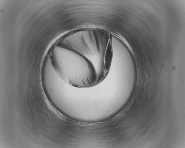 X0000086091132200704202209