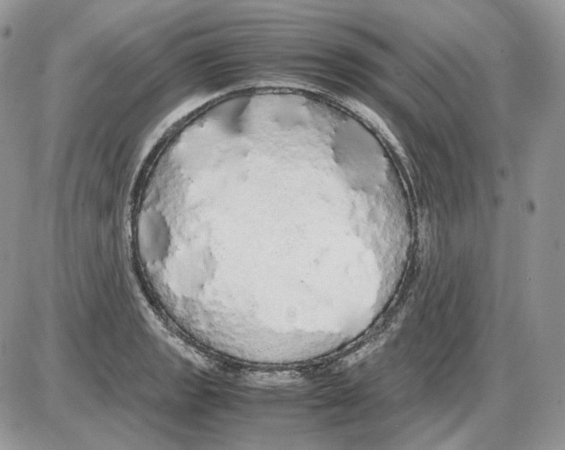 X0000086091133200704202209