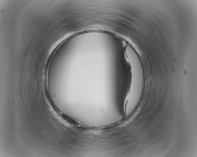 X0000086091134200704202209