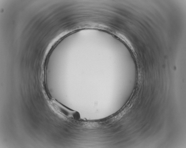 X0000086091136200704202209