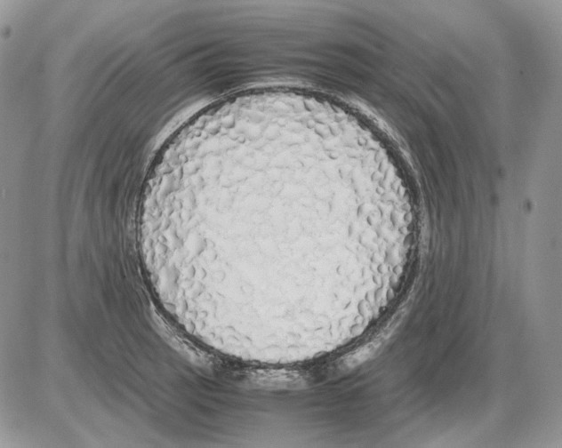 X0000086091137200704202209