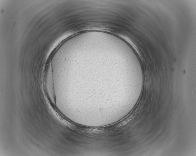 X0000086091139200704202209