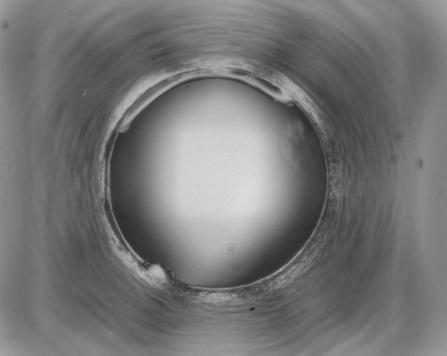 X0000086091140200704202209