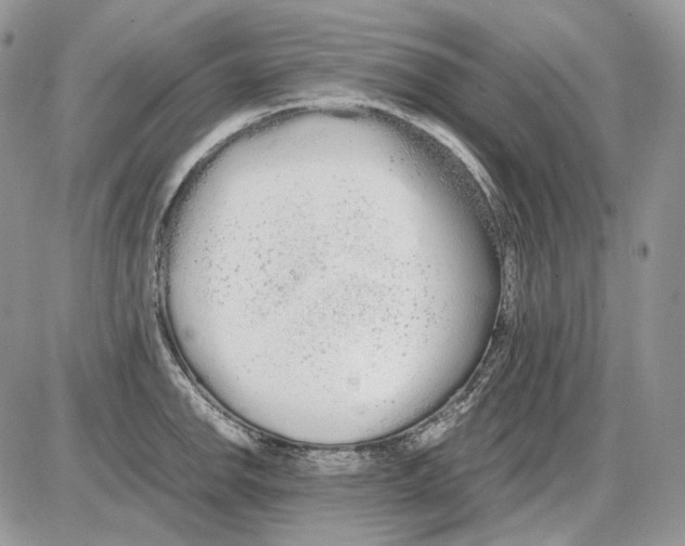 X0000086091142200704202210