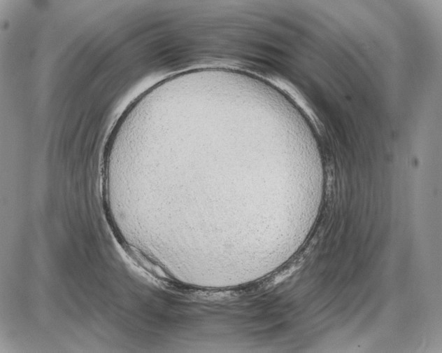 X0000086091143200704202210