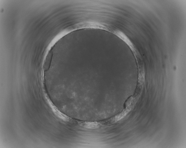 X0000086091144200704202210