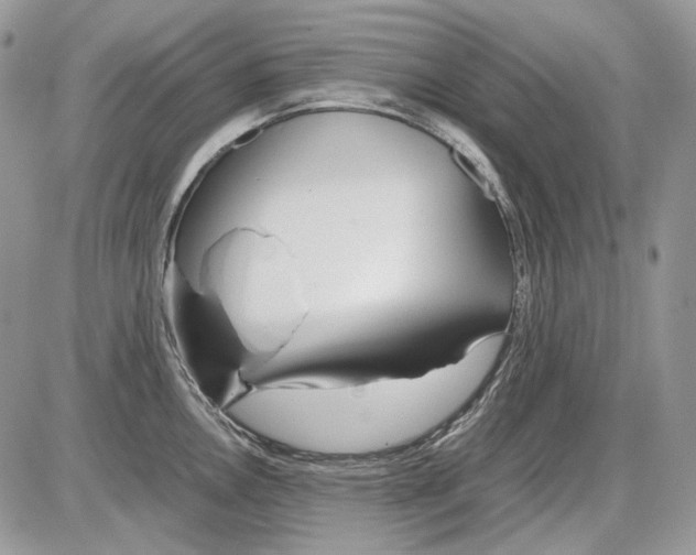 X0000086091146200704202210