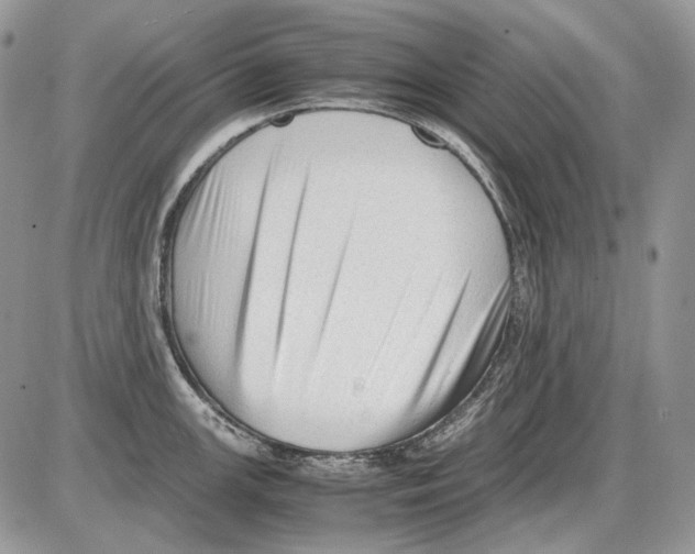 X0000086091147200704202210