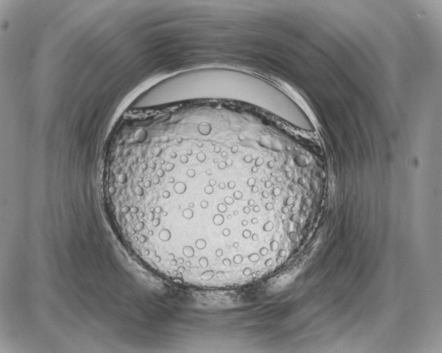 X0000086091149200704202210