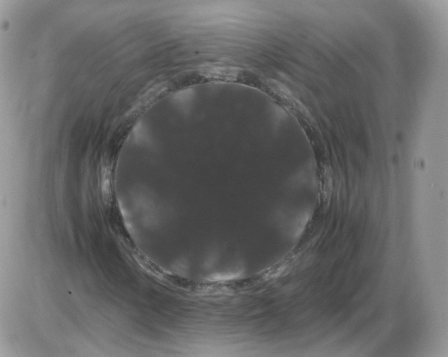 X0000086091154200704202209