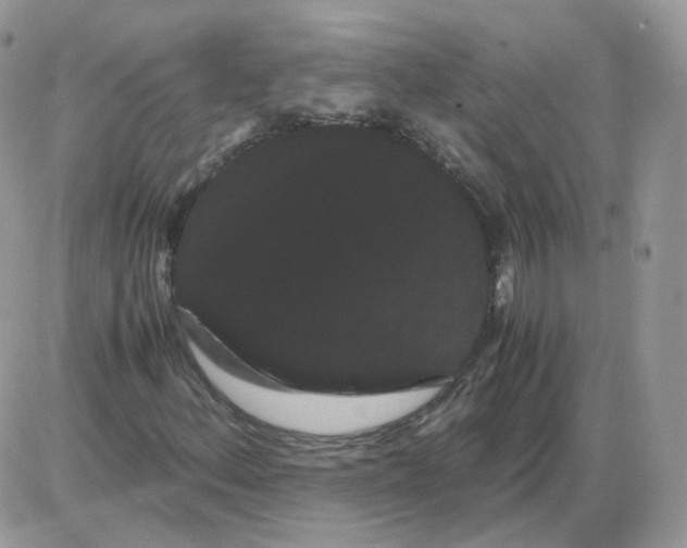 X0000086091156200704202209