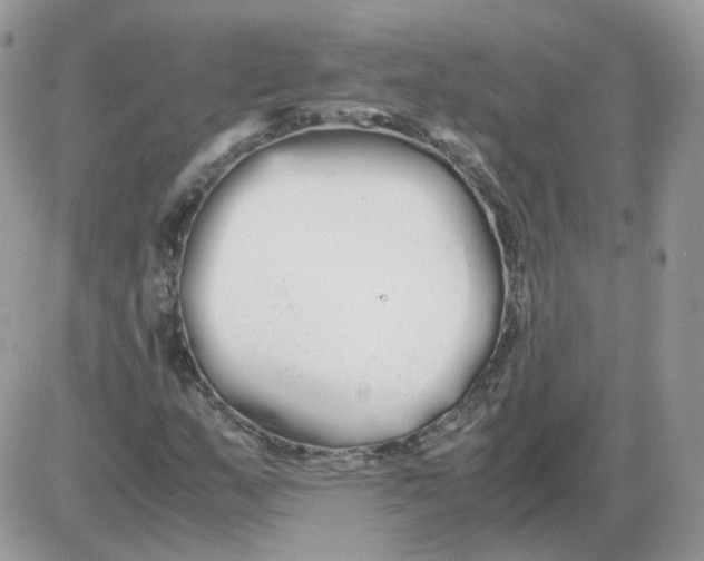 X0000086091159200704202209