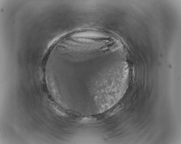 X0000086091160200704202209