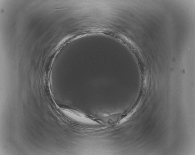 X0000086091161200704202209