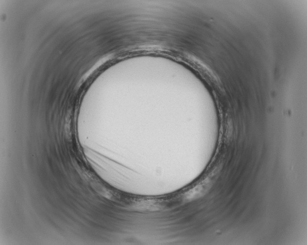 X0000086091162200704202209