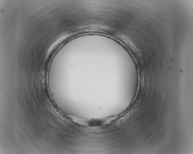 X0000086091164200704202209