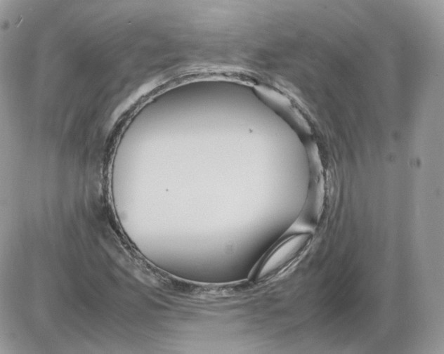 X0000086091165200704202209