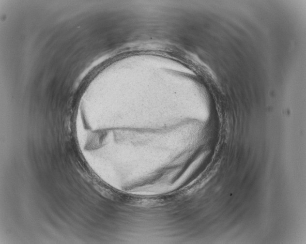 X0000086091166200704202209