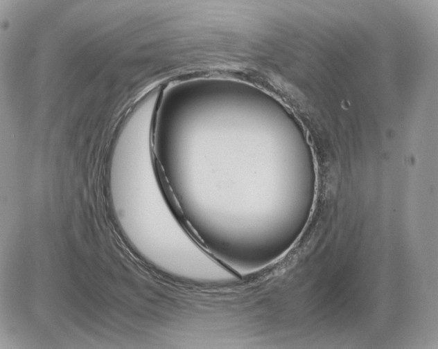 X0000086091169200704202209