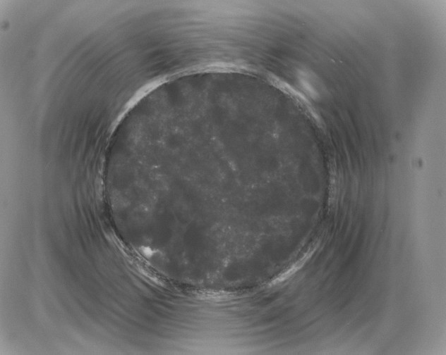 X0000086091170200704202209