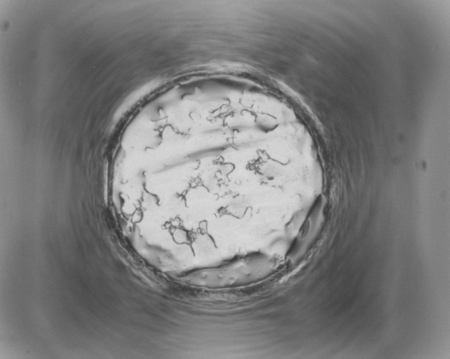 X0000086091171200704202209