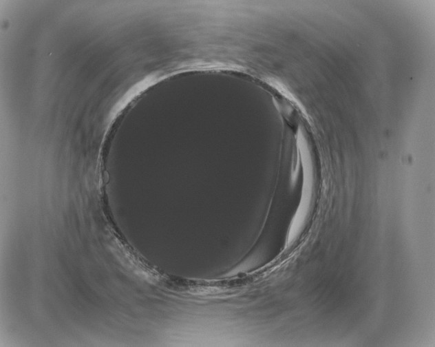 X0000086091173200704202209