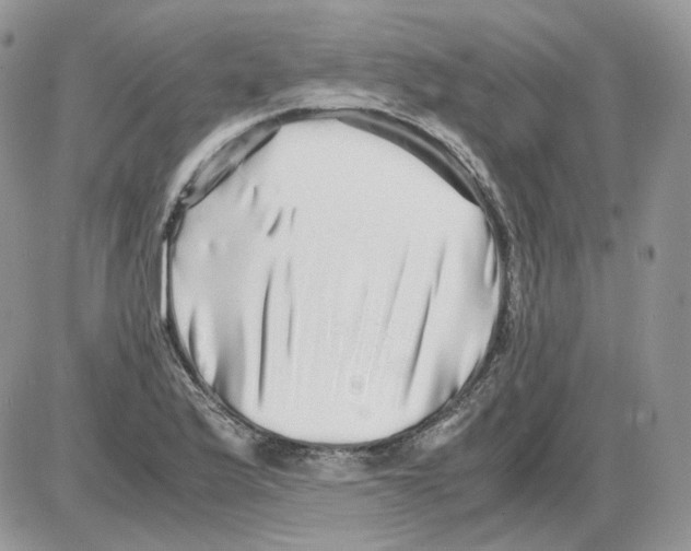 X0000086091175200704202209