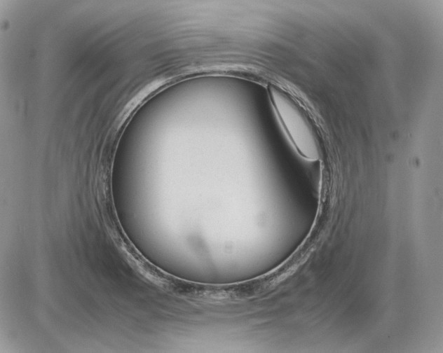 X0000086091177200704202209