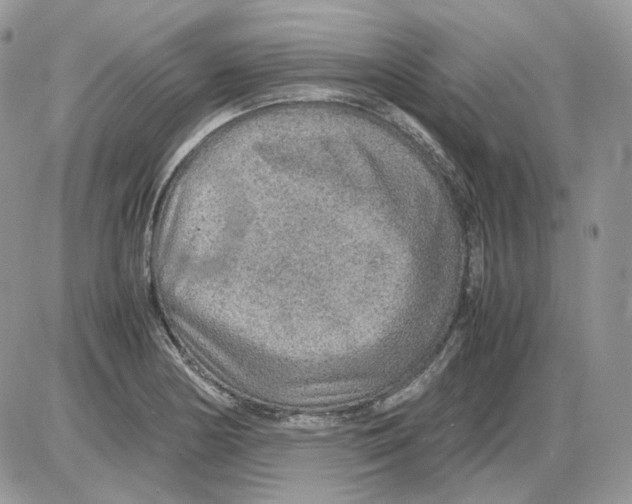 X0000086091178200704202209