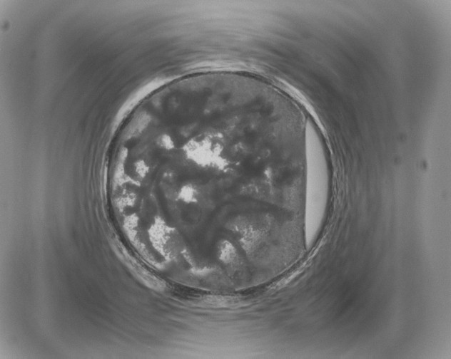 X0000086091179200704202208