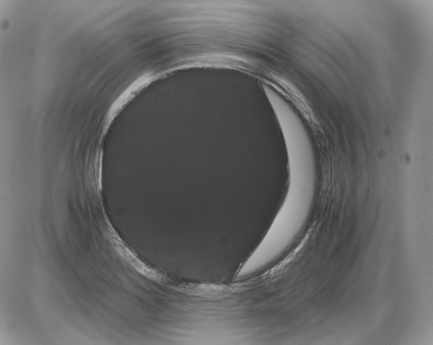 X0000086091180200704202208