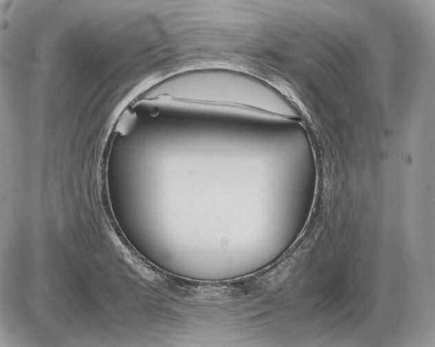 X0000086091181200704202208