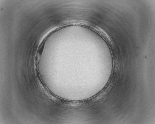 X0000086091182200704202208