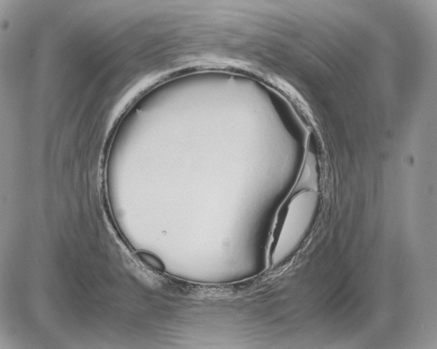 X0000086091183200704202208