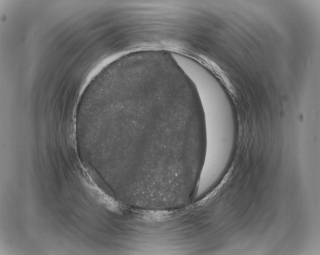 X0000086091184200704202208