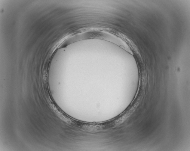 X0000086091185200704202208