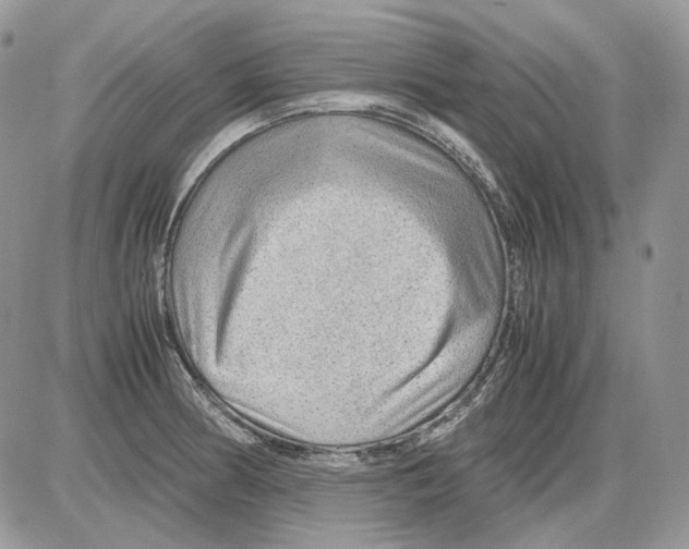 X0000086091186200704202208