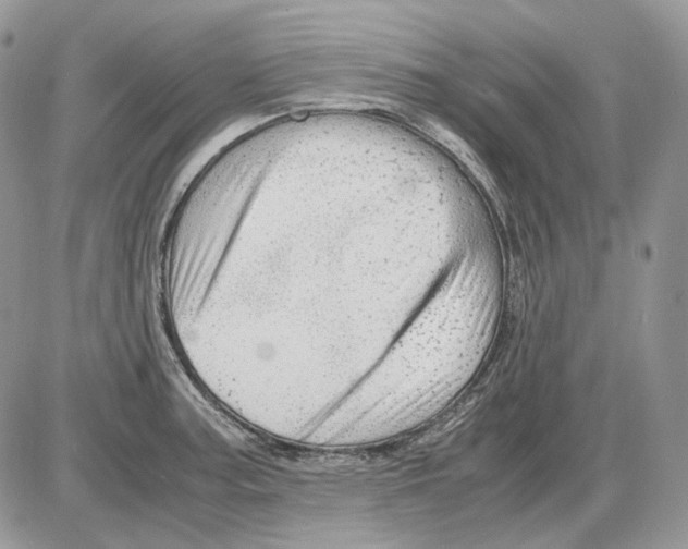 X0000086091187200704202208