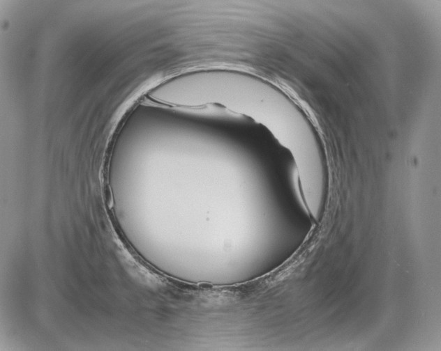 X0000086091189200704202208