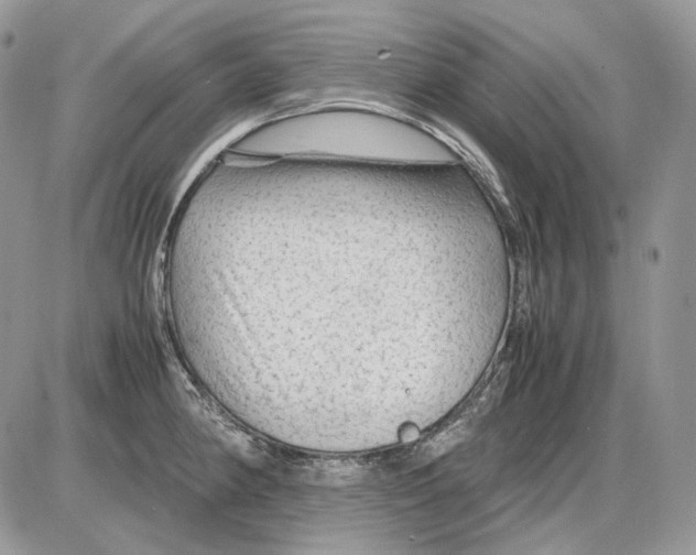 X0000086091190200704202208