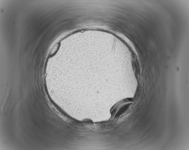 X0000086091191200704202208