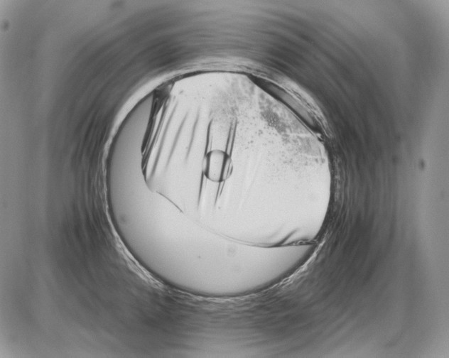 X0000086091192200704202208