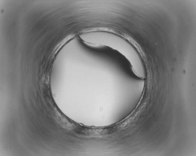 X0000086091193200704202208