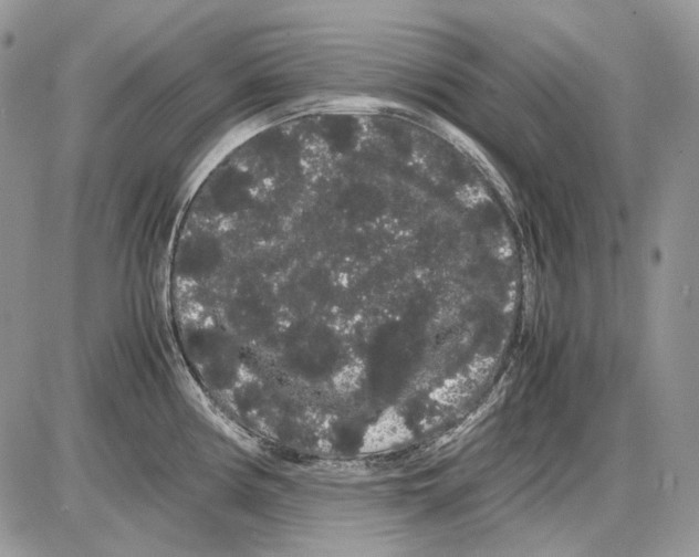 X0000086091194200704202208