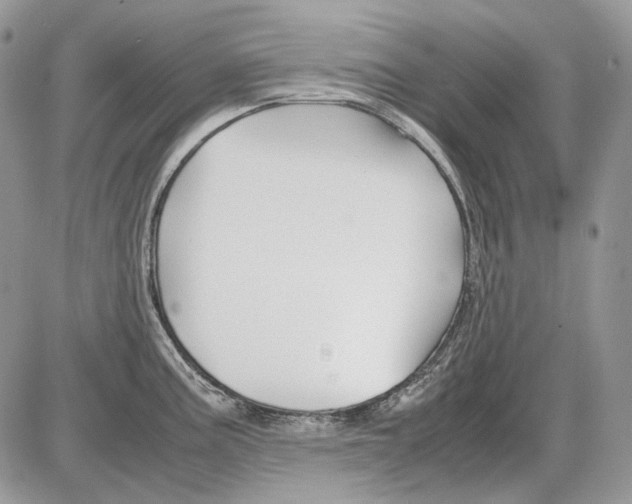 X0000086091195200704202208