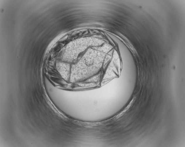 X0000086091196200704202208