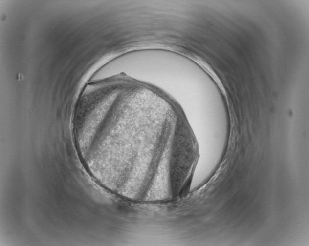 X0000086091197200704202208