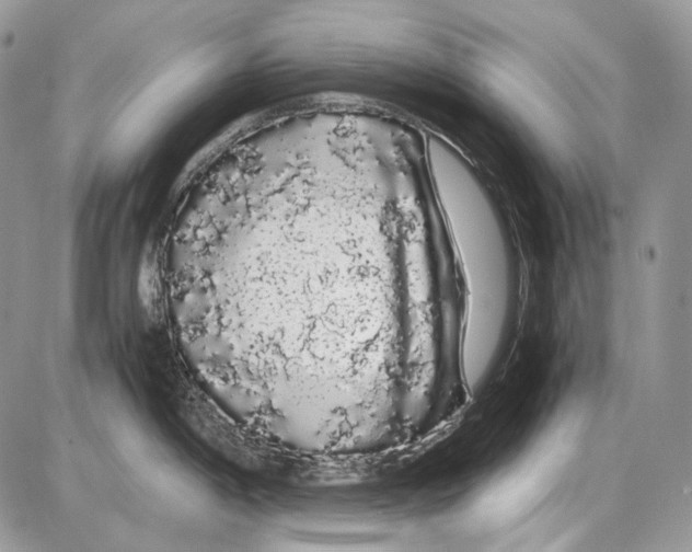 X0000086091198200704202208