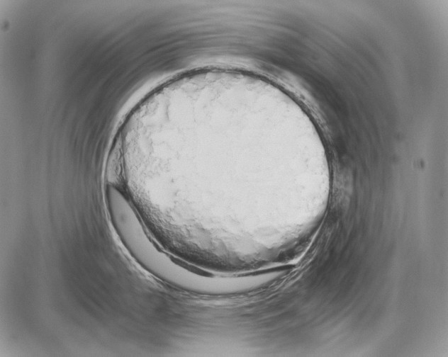 X0000086091199200704202208